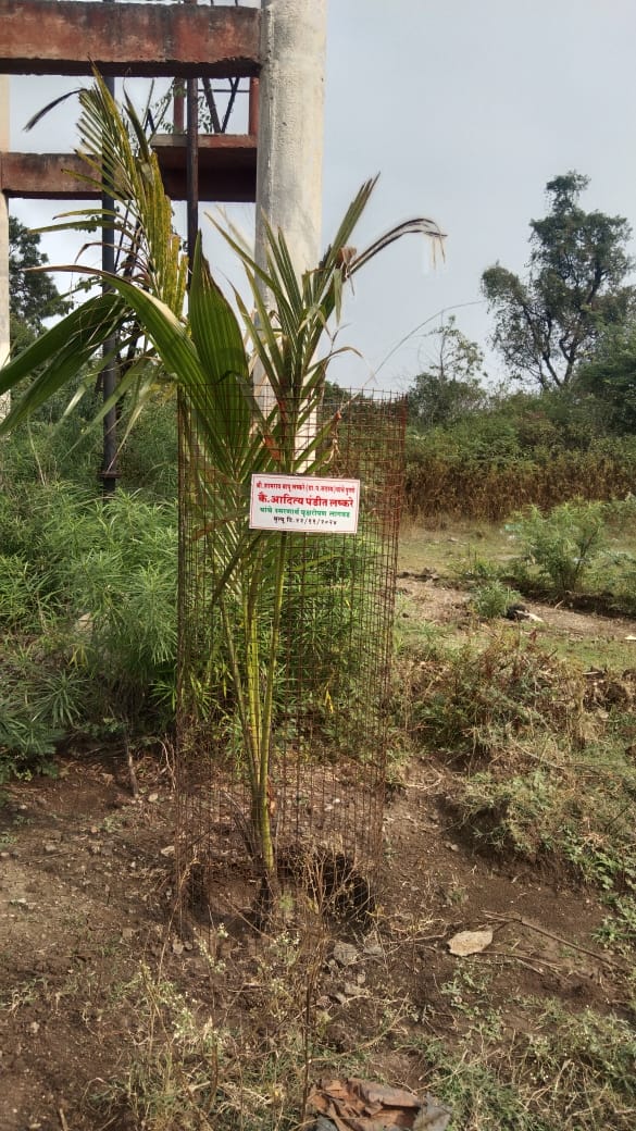 अपघातात मृत्यू पावलेले आदित्य लष्करे यांच्या स्मरणार्थ वृक्षारोपण    ,राजेंद्र नागवडे यांच्याकडून लष्करे कुटुंबीयांचे सांत्वन